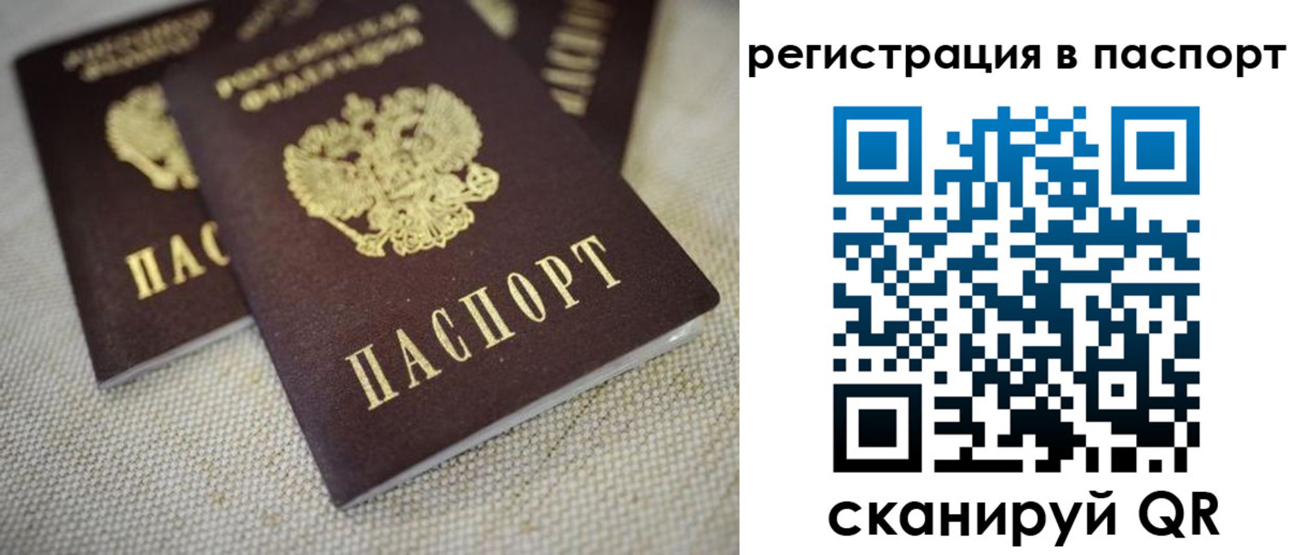 прописка гарантия в Самарской области
